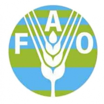 Update of 2018 International Codex Alimentarius Standards